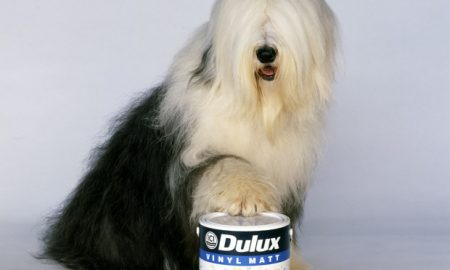 Dulux dog/AkzoNobel