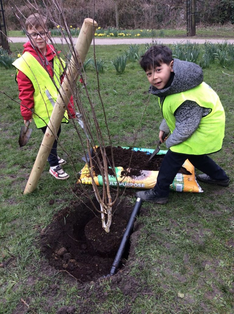 School Council – Tree Planting | Tranmere Park Primary School